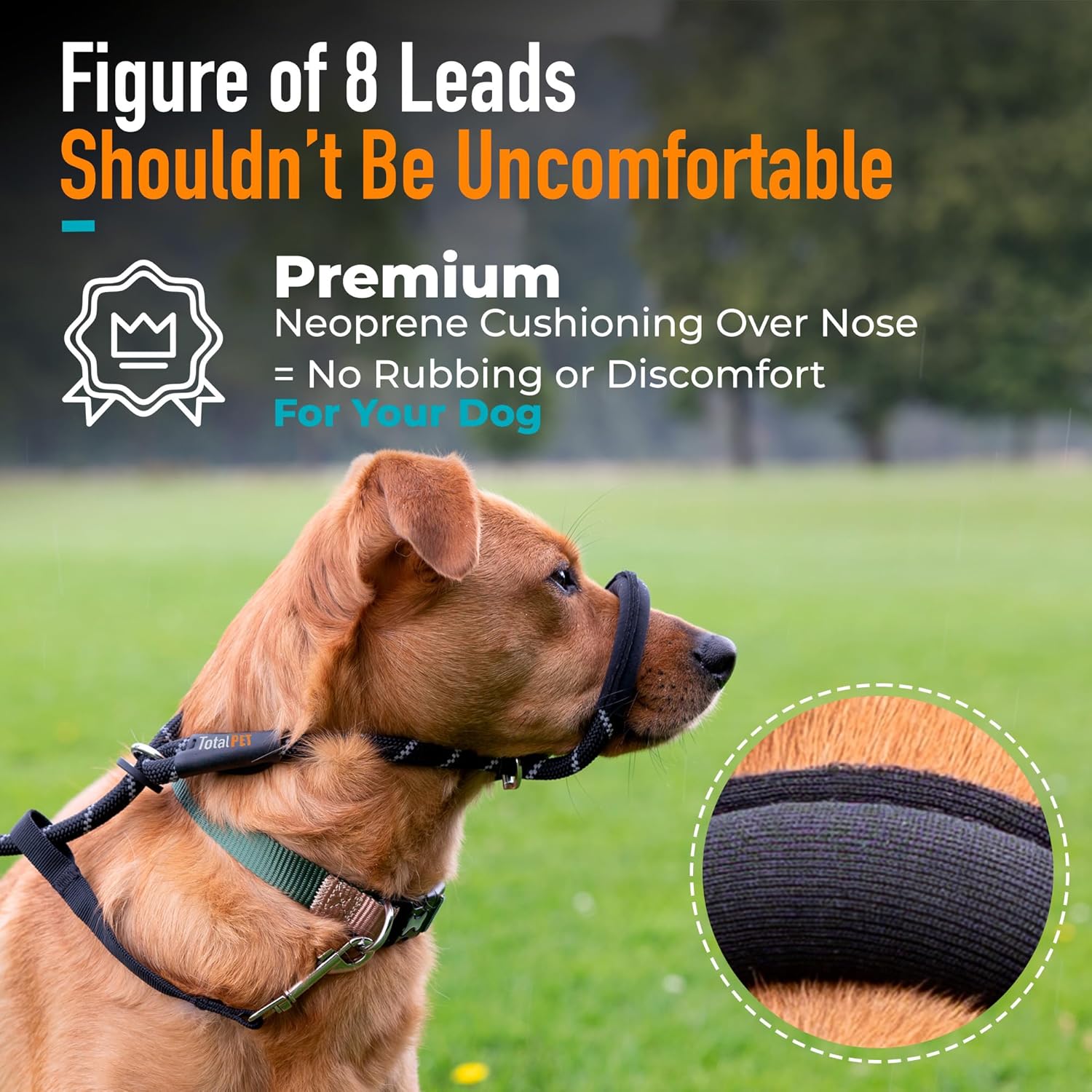 Figure of 8 Dog Lead - anti Pull Stop Dogs Pulling - Rope Slip Leads with Padded se Support (Medium/Large) Black