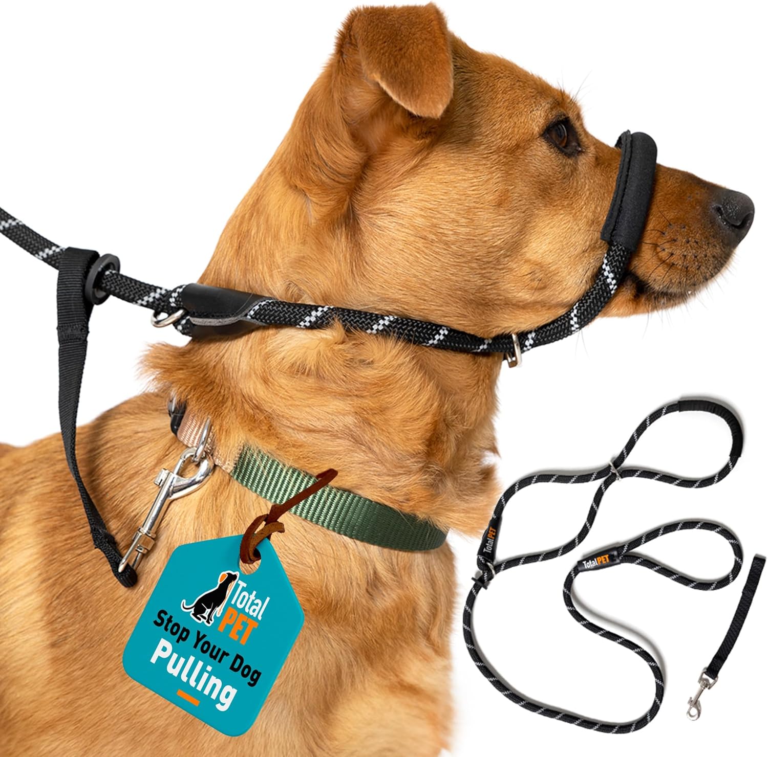 Figure of 8 Dog Lead - anti Pull Stop Dogs Pulling - Rope Slip Leads with Padded se Support (Medium/Large) Black