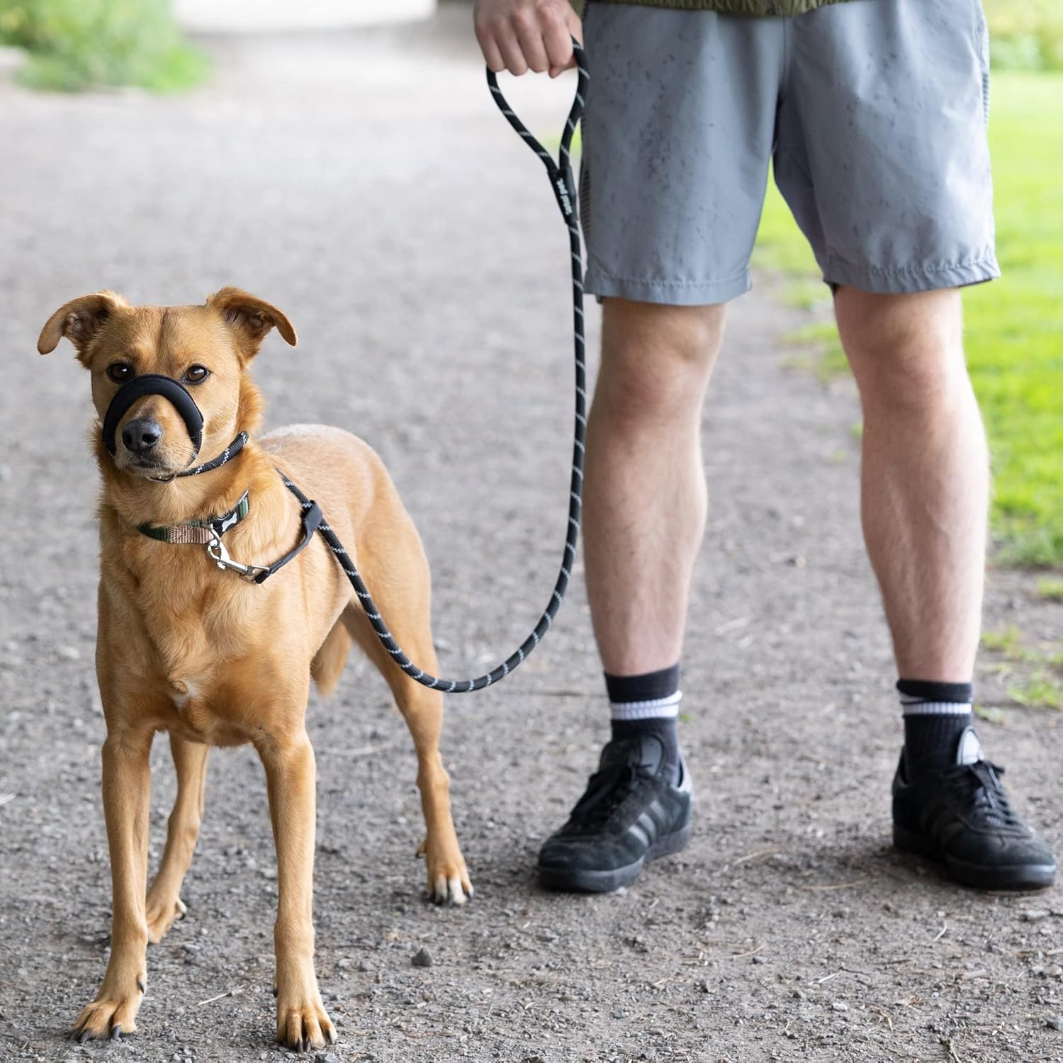 Figure of 8 Dog Lead - anti Pull Stop Dogs Pulling - Rope Slip Leads with Padded se Support (Medium/Large) Black